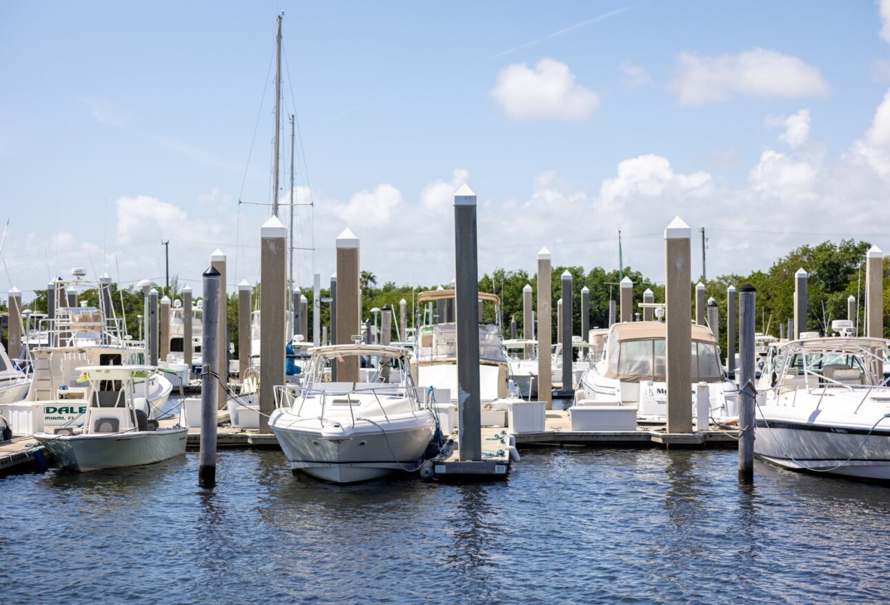 StockSnap_VBZO6FHEB2